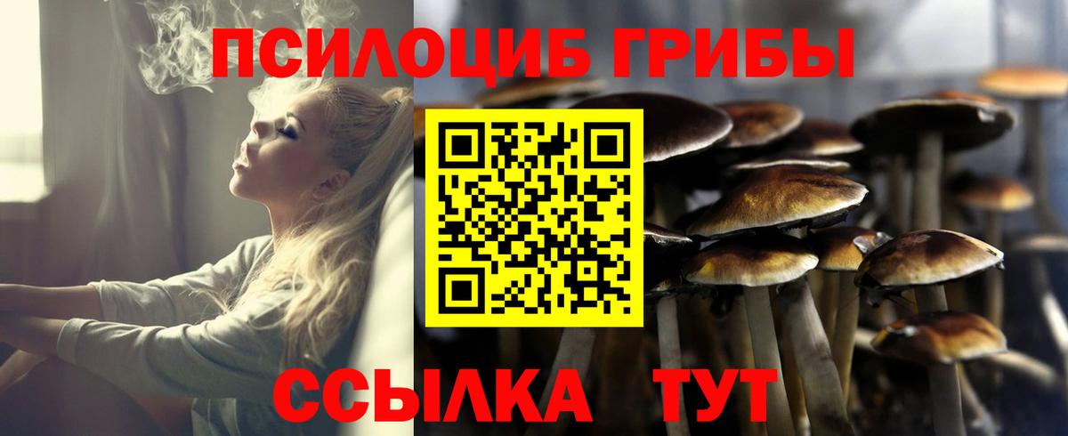 Галлюциногенные грибы Psilocybe Благодарный